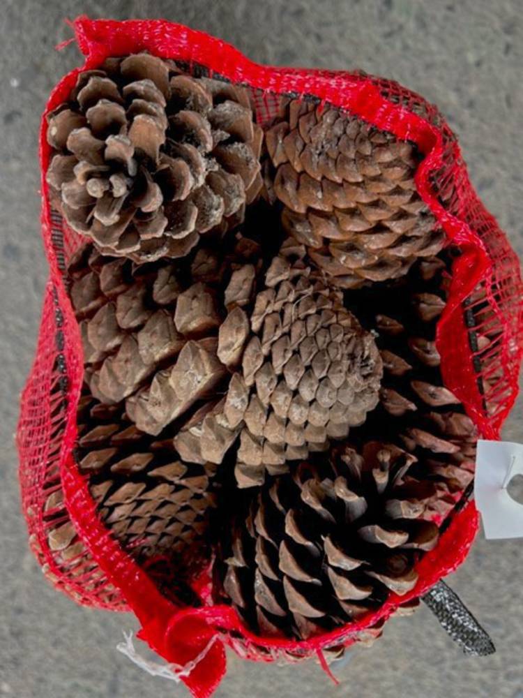 Bagged Pinecones